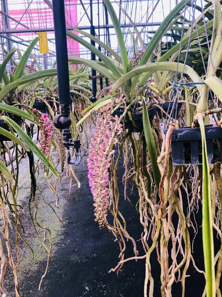 WhatsApp Image 2025-06-24 at 15.46.03